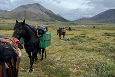 Canada-Yukon-Ogilvie Pack Trip